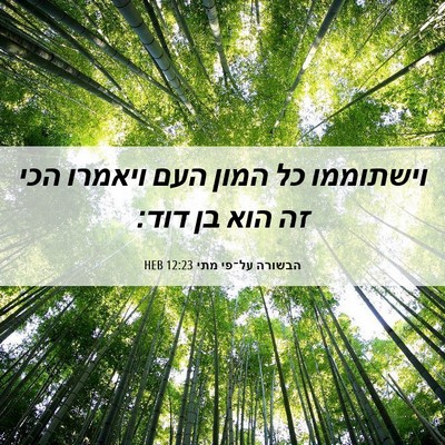 Picture 06 - הבשורה על־פי מתי 12:23 HEB - וישתוממו כל המון העם - Bible Verse Picture