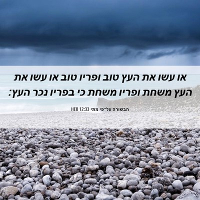 Picture 06 - הבשורה על־פי מתי 12:33 HEB - או עשו את העץ טוב ופריו טוב - Bible Verse Picture