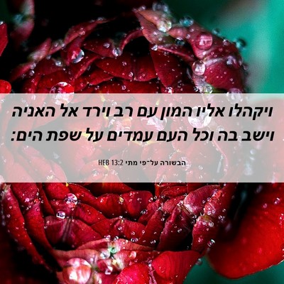 Picture 06 - הבשורה על־פי מתי 13:2 HEB - ויקהלו אליו המון עם רב וירד - Bible Verse Picture