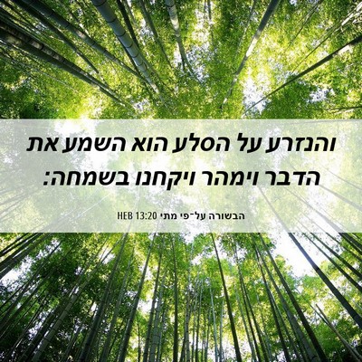 Picture 06 - הבשורה על־פי מתי 13:20 HEB - והנזרע על הסלע הוא השמע את - Bible Verse Picture