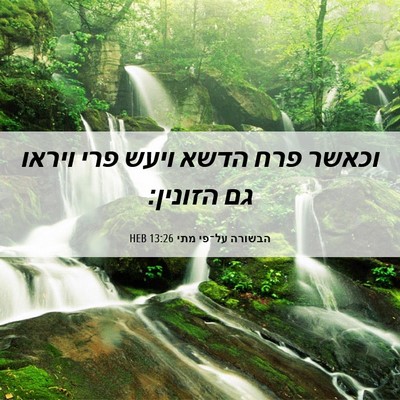 Picture 06 - הבשורה על־פי מתי 13:26 HEB - וכאשר פרח הדשא ויעש פרי - Bible Verse Picture