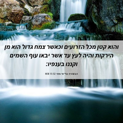 Picture 06 - הבשורה על־פי מתי 13:32 HEB - והוא קטן מכל הזרועים וכאשר - Bible Verse Picture