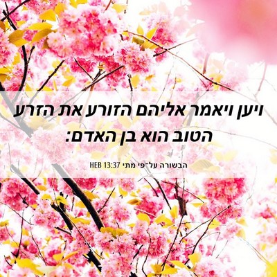 Picture 06 - הבשורה על־פי מתי 13:37 HEB - ויען ויאמר אליהם הזורע את - Bible Verse Picture