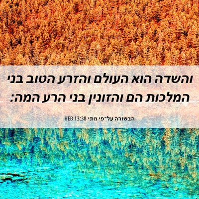 Picture 06 - הבשורה על־פי מתי 13:38 HEB - והשדה הוא העולם והזרע הטוב - Bible Verse Picture