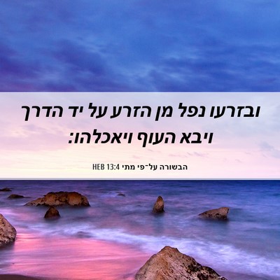 Picture 06 - הבשורה על־פי מתי 13:4 HEB - ובזרעו נפל מן הזרע על יד - Bible Verse Picture