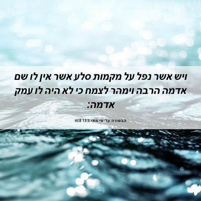 Picture 06 - הבשורה על־פי מתי 13:5 HEB - ויש אשר נפל על מקמות סלע - Bible Verse Picture
