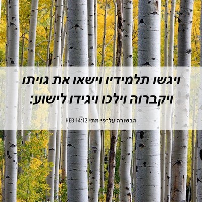 Picture 06 - הבשורה על־פי מתי 14:12 HEB - ויגשו תלמידיו וישאו את - Bible Verse Picture