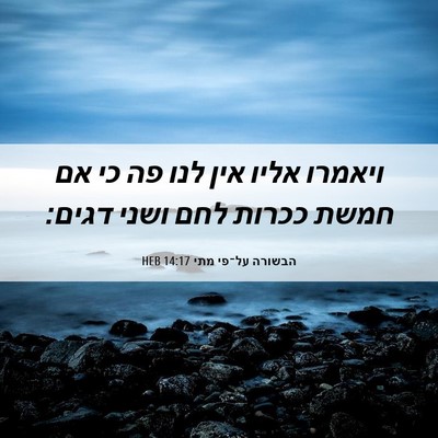 Picture 06 - הבשורה על־פי מתי 14:17 HEB - ויאמרו אליו אין לנו פה כי - Bible Verse Picture