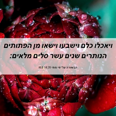 Picture 06 - הבשורה על־פי מתי 14:20 HEB - ויאכלו כלם וישבעו וישאו מן - Bible Verse Picture