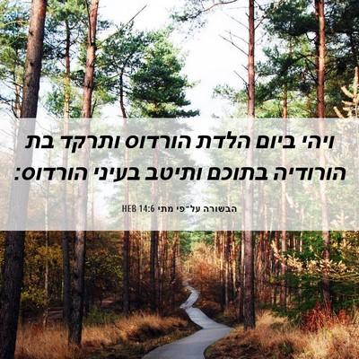 Picture 06 - הבשורה על־פי מתי 14:6 HEB - ויהי ביום הלדת הורדוס - Bible Verse Picture
