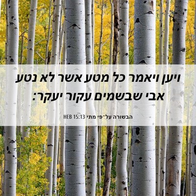 Picture 06 - הבשורה על־פי מתי 15:13 HEB - ויען ויאמר כל מטע אשר לא - Bible Verse Picture
