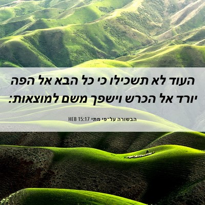 Picture 06 - הבשורה על־פי מתי 15:17 HEB - העוד לא תשכילו כי כל הבא אל - Bible Verse Picture