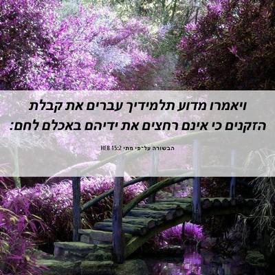 Picture 06 - הבשורה על־פי מתי 15:2 HEB - ויאמרו מדוע תלמידיך עברים - Bible Verse Picture