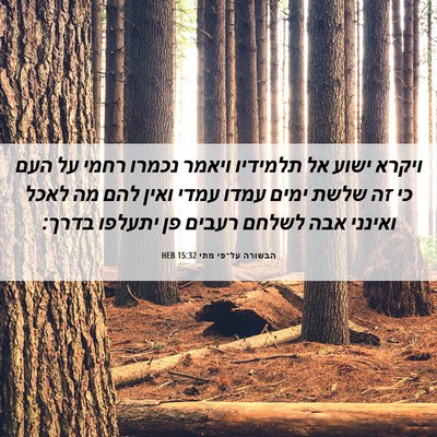Picture 06 - הבשורה על־פי מתי 15:32 HEB - ויקרא ישוע אל תלמידיו - Bible Verse Picture