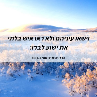 Picture 06 - הבשורה על־פי מתי 17:8 HEB - וישאו עיניהם ולא ראו איש - Bible Verse Picture