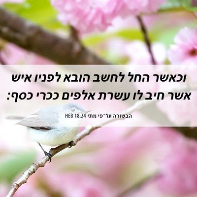 Picture 06 - הבשורה על־פי מתי 18:24 HEB - וכאשר החל לחשב הובא לפניו - Bible Verse Picture