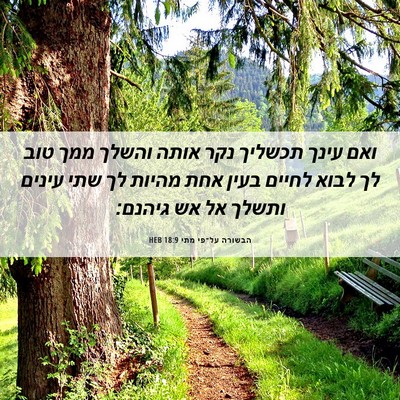 Picture 06 - הבשורה על־פי מתי 18:9 HEB - ואם עינך תכשליך נקר אותה - Bible Verse Picture
