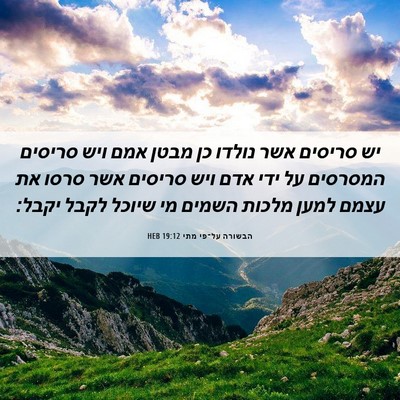 Picture 06 - הבשורה על־פי מתי 19:12 HEB - יש סריסים אשר נולדו כן מבטן - Bible Verse Picture