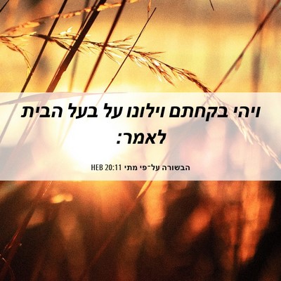 Picture 06 - הבשורה על־פי מתי 20:11 HEB - ויהי בקחתם וילונו על בעל - Bible Verse Picture