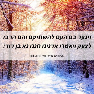 Picture 06 - הבשורה על־פי מתי 20:31 HEB - ויגער בם העם להשתיקם והם - Bible Verse Picture