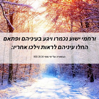 Picture 06 - הבשורה על־פי מתי 20:34 HEB - ורחמי ישוע נכמרו ויגע - Bible Verse Picture