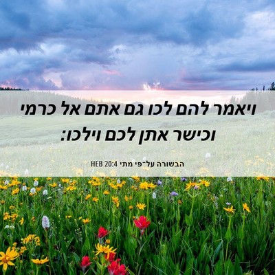 Picture 06 - הבשורה על־פי מתי 20:4 HEB - ויאמר להם לכו גם אתם אל - Bible Verse Picture