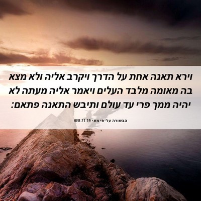 Picture 06 - הבשורה על־פי מתי 21:19 HEB - וירא תאנה אחת על הדרך ויקרב - Bible Verse Picture