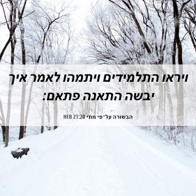 Picture 06 - הבשורה על־פי מתי 21:20 HEB - ויראו התלמידים ויתמהו לאמר - Bible Verse Picture
