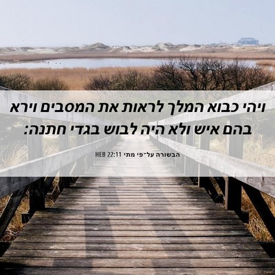 Picture 06 - הבשורה על־פי מתי 22:11 HEB - ויהי כבוא המלך לראות את - Bible Verse Picture