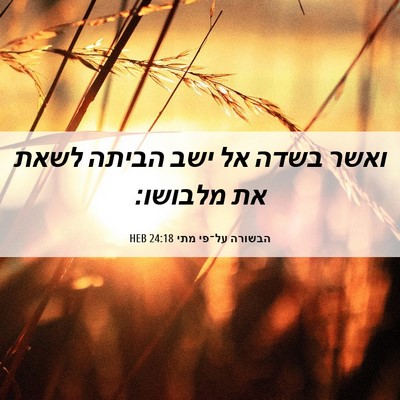 Picture 06 - הבשורה על־פי מתי 24:18 HEB - ואשר בשדה אל ישב הביתה לשאת - Bible Verse Picture