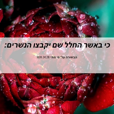 Picture 06 - הבשורה על־פי מתי 24:28 HEB - כי באשר החלל שם יקבצו - Bible Verse Picture