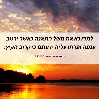 Picture 06 - הבשורה על־פי מתי 24:32 HEB - למדו נא את משל התאנה כאשר - Bible Verse Picture