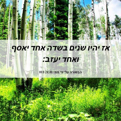 Picture 06 - הבשורה על־פי מתי 24:40 HEB - אז יהיו שנים בשדה אחד יאסף - Bible Verse Picture