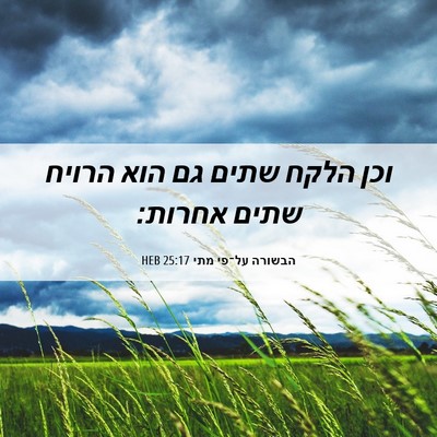 Picture 06 - הבשורה על־פי מתי 25:17 HEB - וכן הלקח שתים גם הוא הרויח - Bible Verse Picture