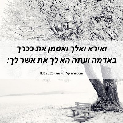 Picture 06 - הבשורה על־פי מתי 25:25 HEB - ואירא ואלך ואטמן את ככרך - Bible Verse Picture