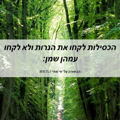 Picture 06 - הבשורה על־פי מתי 25:3 HEB - הכסילות לקחו את הנרות ולא - Bible Verse Picture