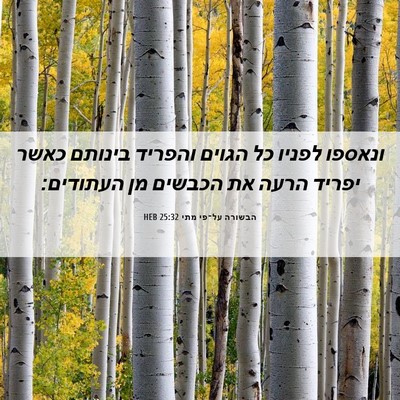Picture 06 - הבשורה על־פי מתי 25:32 HEB - ונאספו לפניו כל הגוים - Bible Verse Picture