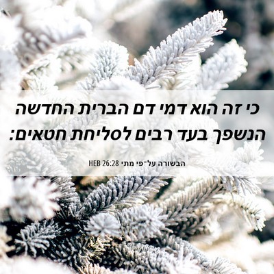 Picture 06 - הבשורה על־פי מתי 26:28 HEB - כי זה הוא דמי דם הברית - Bible Verse Picture