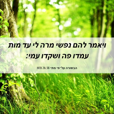Picture 06 - הבשורה על־פי מתי 26:38 HEB - ויאמר להם נפשי מרה לי עד - Bible Verse Picture
