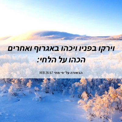 Picture 06 - הבשורה על־פי מתי 26:67 HEB - וירקו בפניו ויכהו באגרוף - Bible Verse Picture