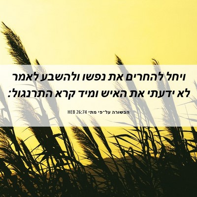 Picture 06 - הבשורה על־פי מתי 26:74 HEB - ויחל להחרים את נפשו ולהשבע - Bible Verse Picture