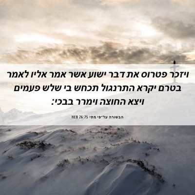 Picture 06 - הבשורה על־פי מתי 26:75 HEB - ויזכר פטרוס את דבר ישוע אשר - Bible Verse Picture