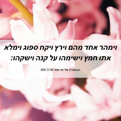 Picture 06 - הבשורה על־פי מתי 27:48 HEB - וימהר אחד מהם וירץ ויקח - Bible Verse Picture