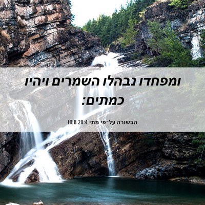 Picture 06 - הבשורה על־פי מתי 28:4 HEB - ומפחדו נבהלו השמרים ויהיו - Bible Verse Picture