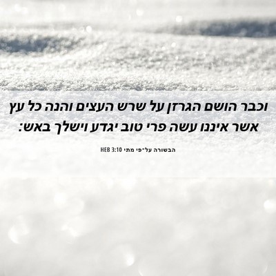 Picture 06 - הבשורה על־פי מתי 3:10 HEB - וכבר הושם הגרזן על שרש - Bible Verse Picture