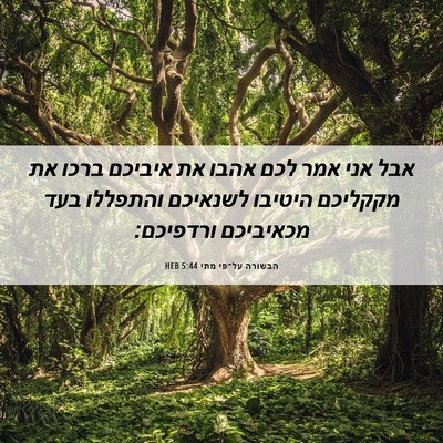 Picture 06 - הבשורה על־פי מתי 5:44 HEB - אבל אני אמר לכם אהבו את - Bible Verse Picture