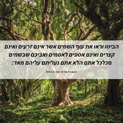 Picture 06 - הבשורה על־פי מתי 6:26 HEB - הביטו וראו את עוף השמים אשר - Bible Verse Picture