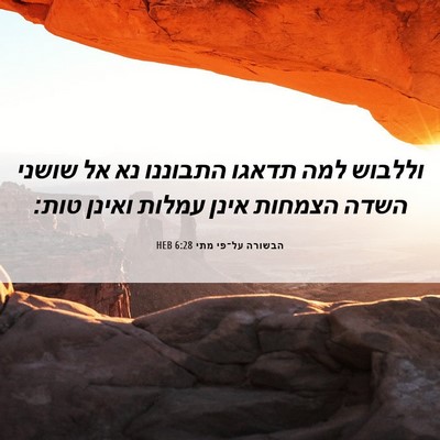Picture 06 - הבשורה על־פי מתי 6:28 HEB - וללבוש למה תדאגו התבוננו - Bible Verse Picture