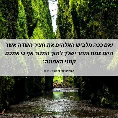 Picture 06 - הבשורה על־פי מתי 6:30 HEB - ואם ככה מלביש האלהים את - Bible Verse Picture