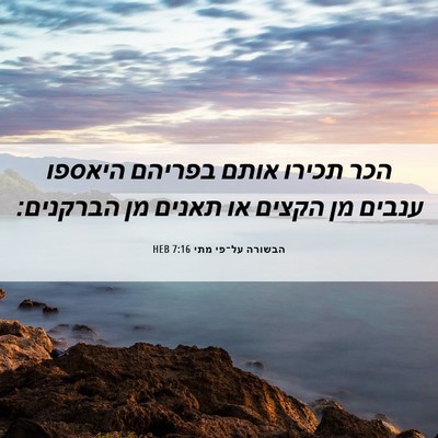 Picture 06 - הבשורה על־פי מתי 7:16 HEB - הכר תכירו אותם בפריהם - Bible Verse Picture